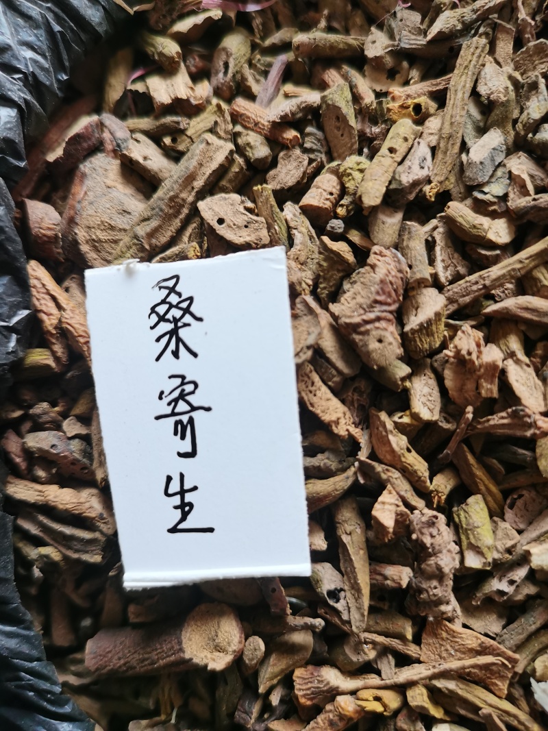 桑寄生
