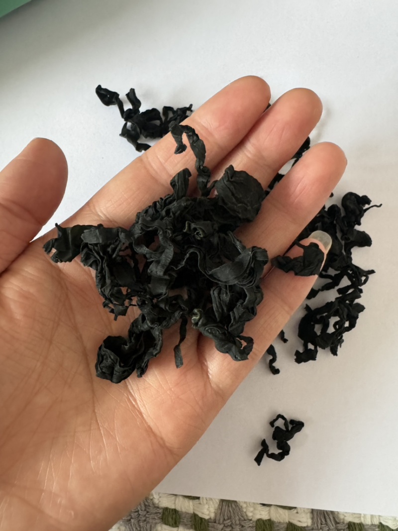 裙带菜干货脱水裙带菜批发，高泡发，电商，团购