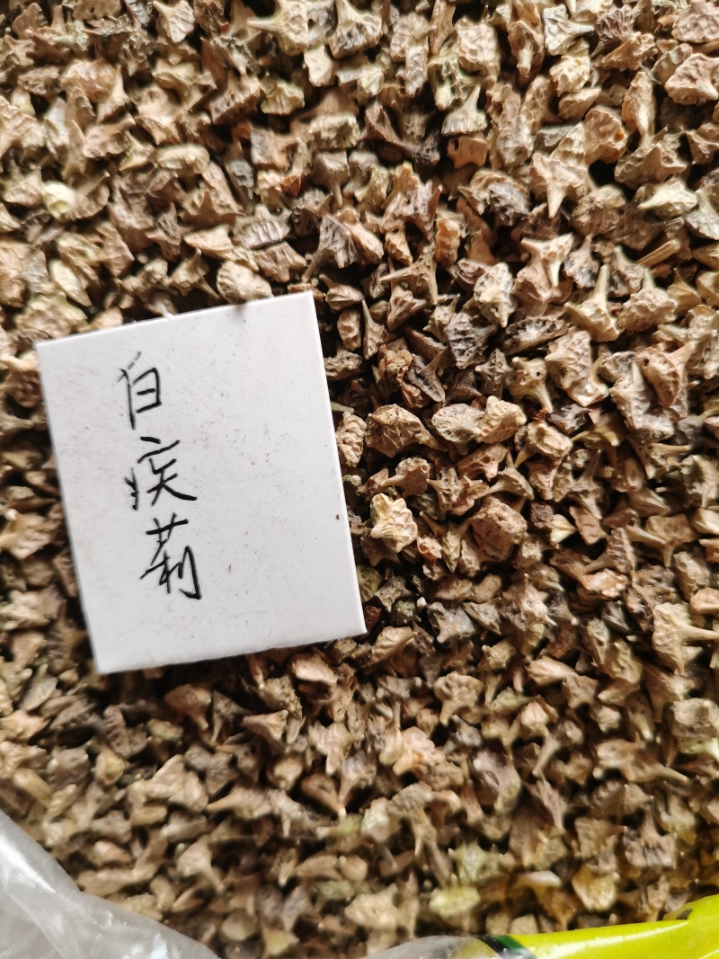 疾藜