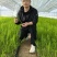 山东菏泽翡翠明珠，芦笋穴盘苗现挖新芦笋苗量大从优欢迎来电
