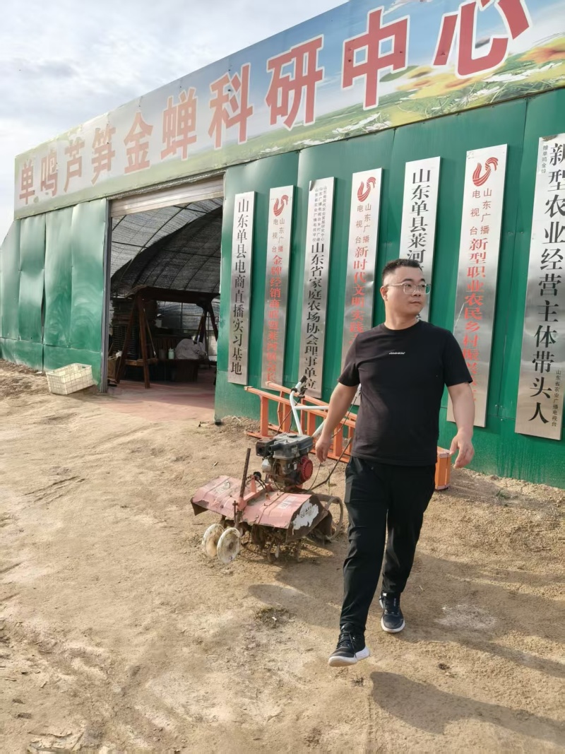 山东菏泽翡翠明珠，芦笋穴盘苗现挖新芦笋苗量大从优欢迎来电