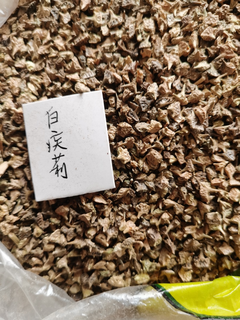 药用兔丝子，种子用兔丝子