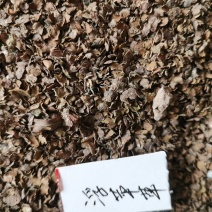 浮萍草