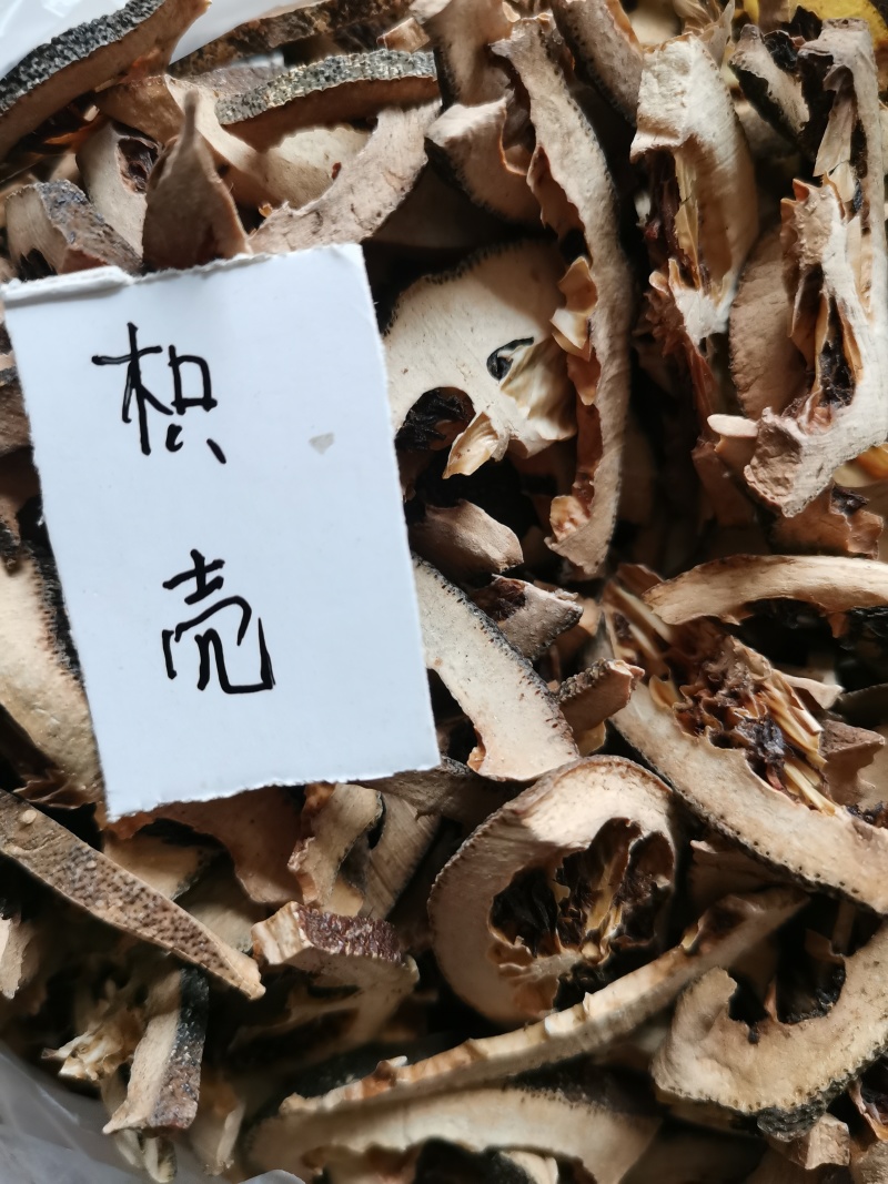枳壳