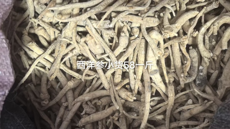 小参丁，打粉小料，各种小参丁，经济实惠，大量供货