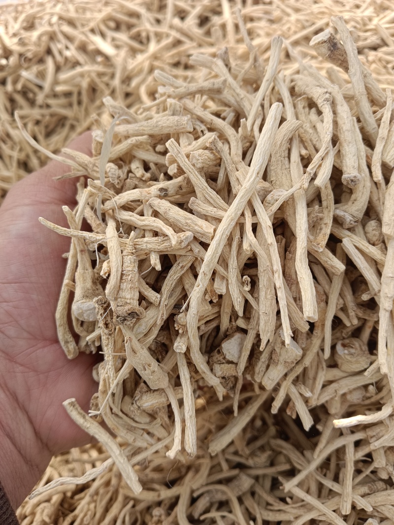 小参丁，打粉小料，各种小参丁，经济实惠，大量供货