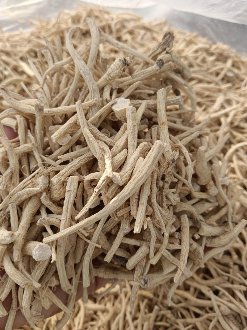 小参丁，打粉小料，各种小参丁，经济实惠，大量供货