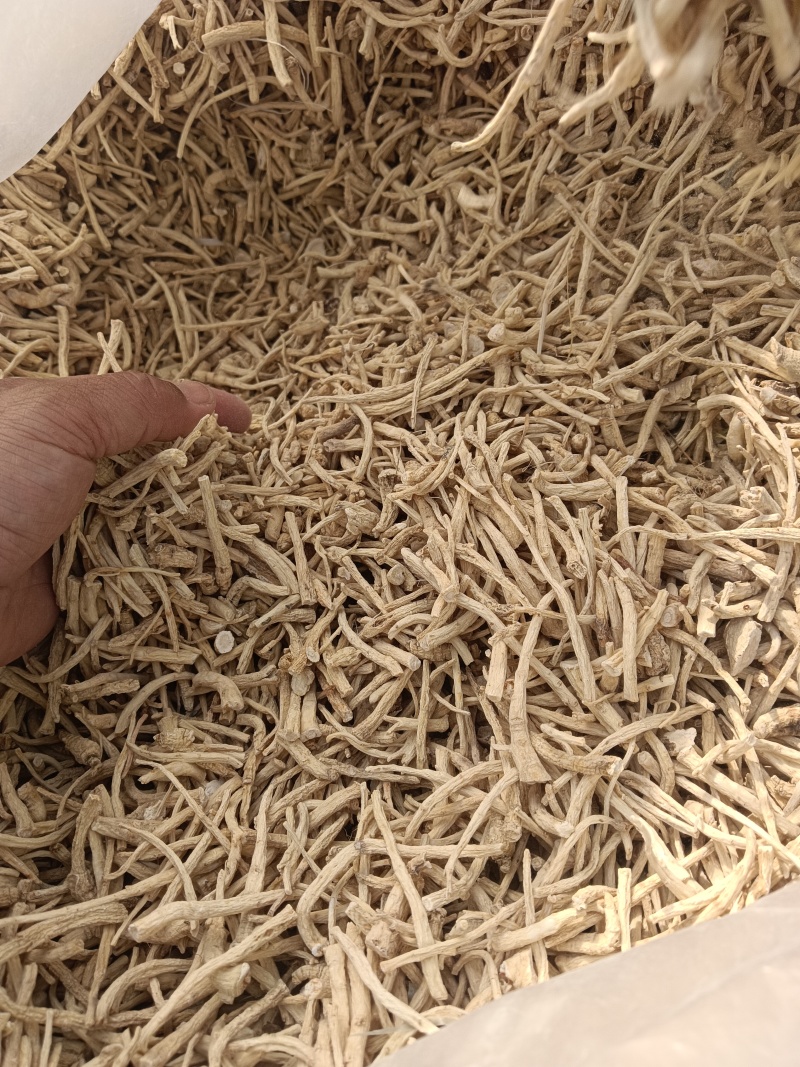 小参丁，打粉小料，各种小参丁，经济实惠，大量供货