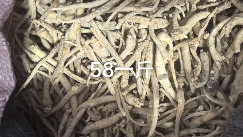 小参丁，打粉小料，各种小参丁，经济实惠，大量供货