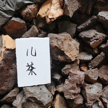 儿茶