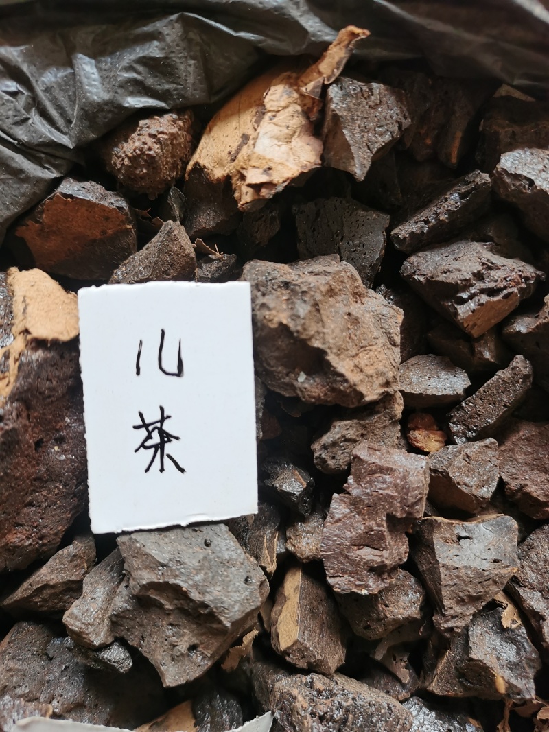 儿茶