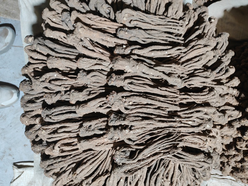 甘肃精品成品当归中药材新货现挖特级长货大量现货