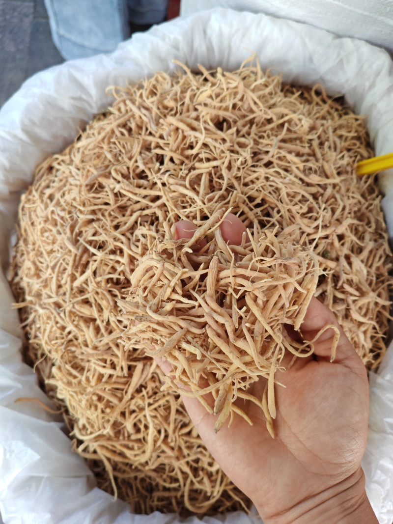 太子参