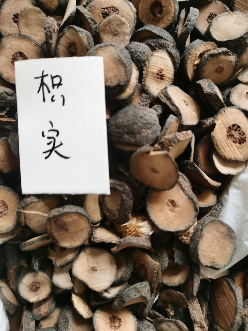 枳实