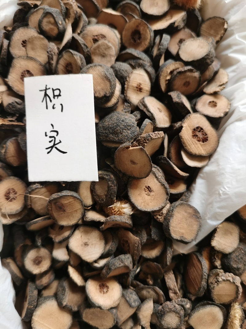 枳实