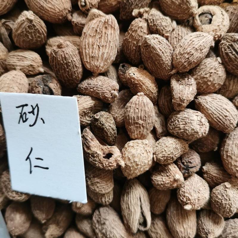 砂仁