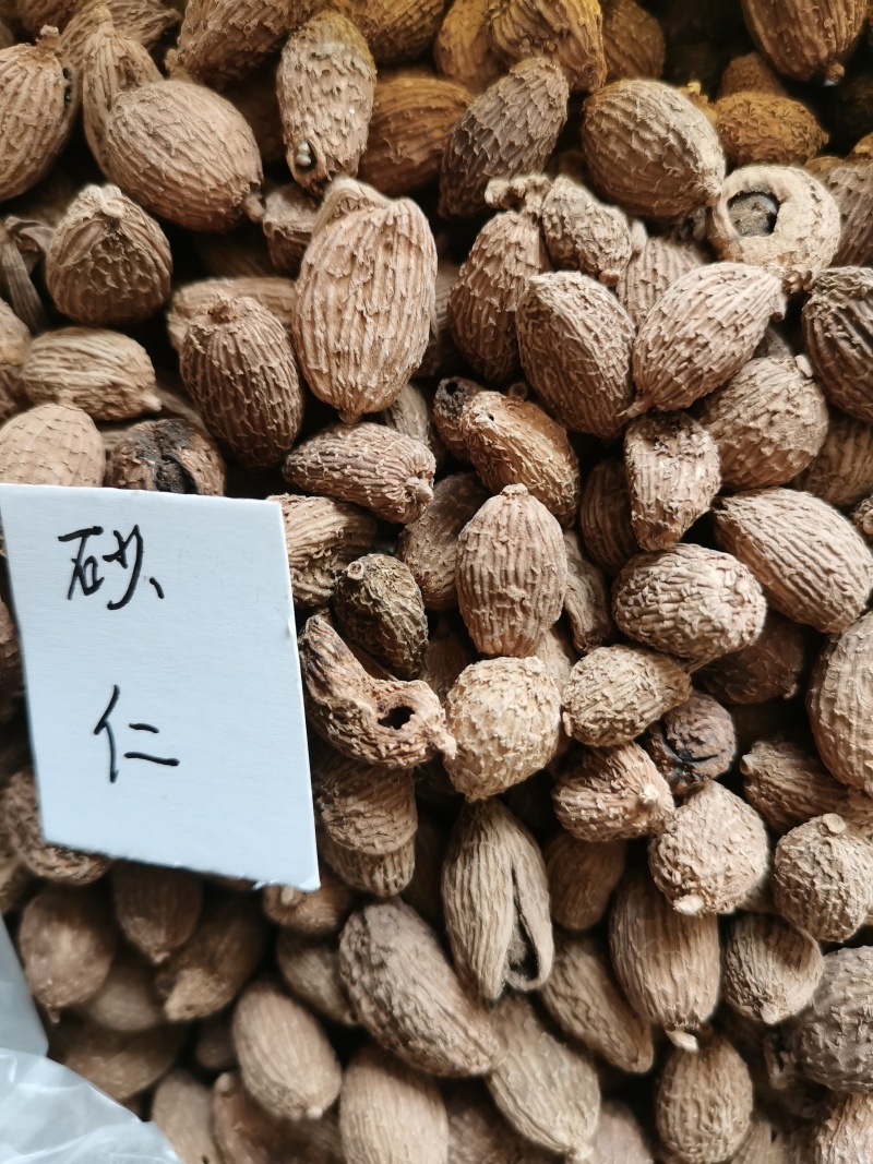 砂仁