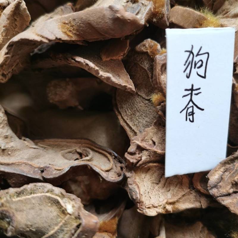 狗脊量大从优咨询协商