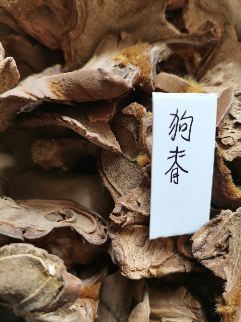 狗脊量大从优咨询协商