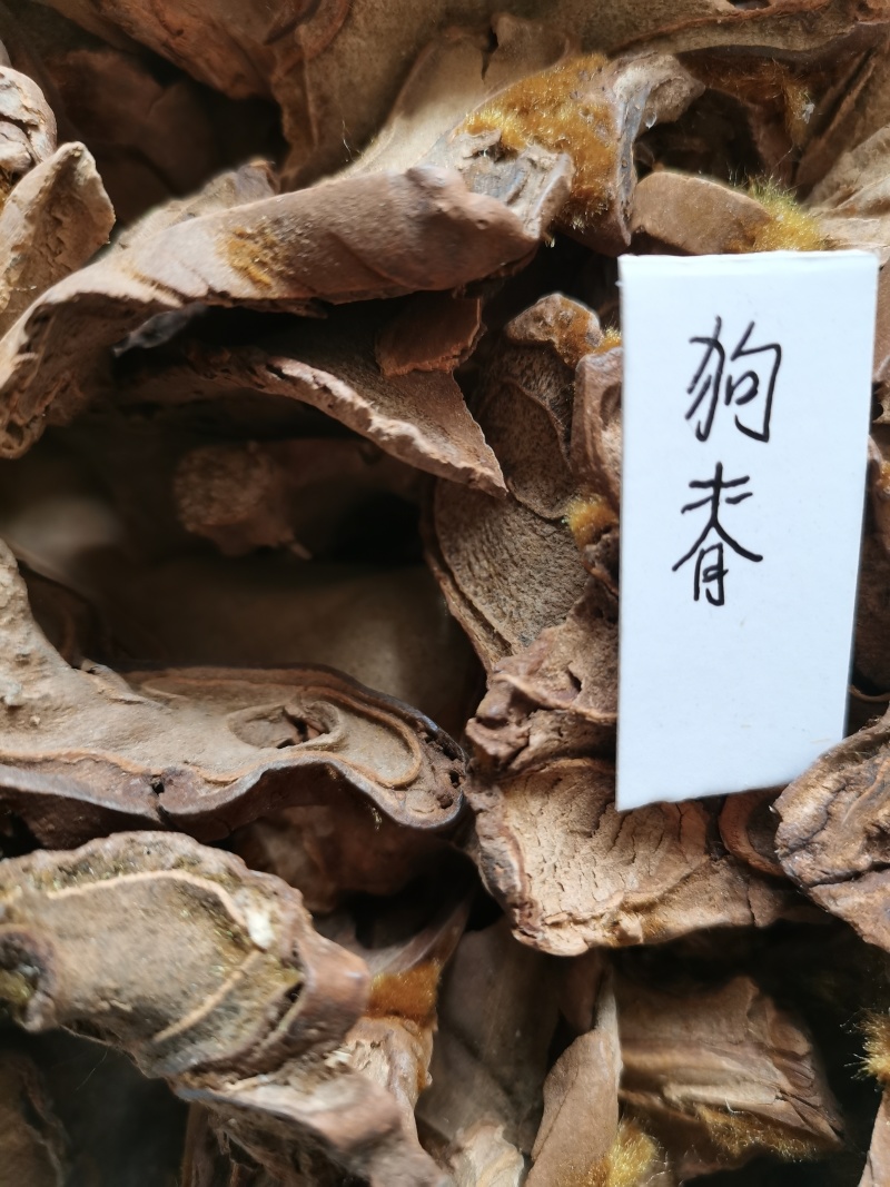 狗脊量大从优咨询协商