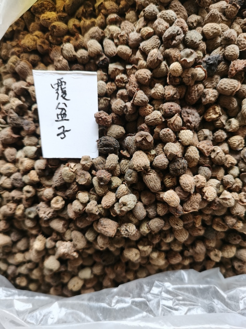 覆盆子
