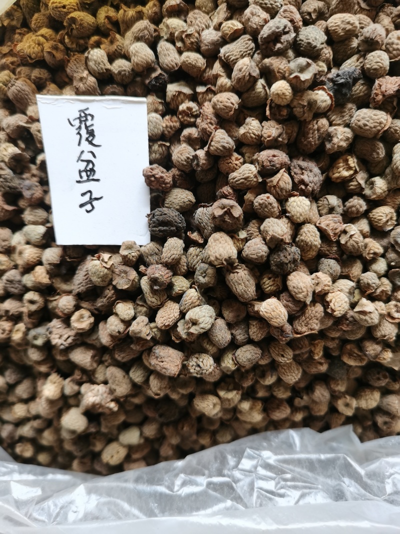 覆盆子