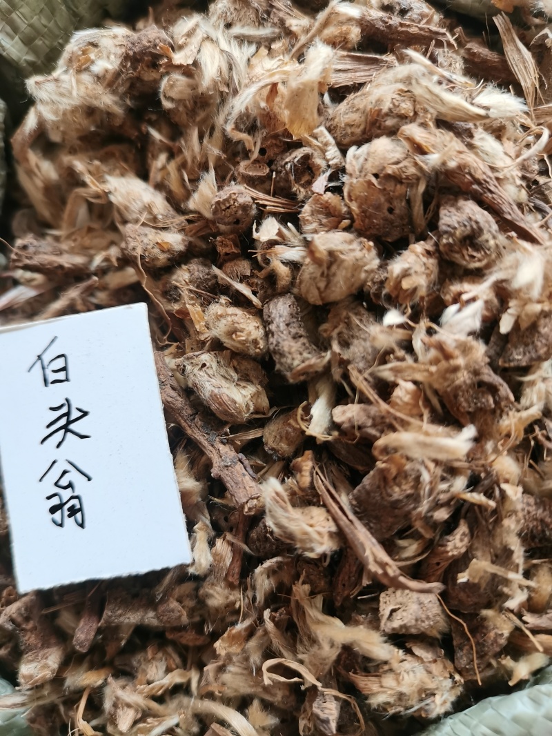 白头翁