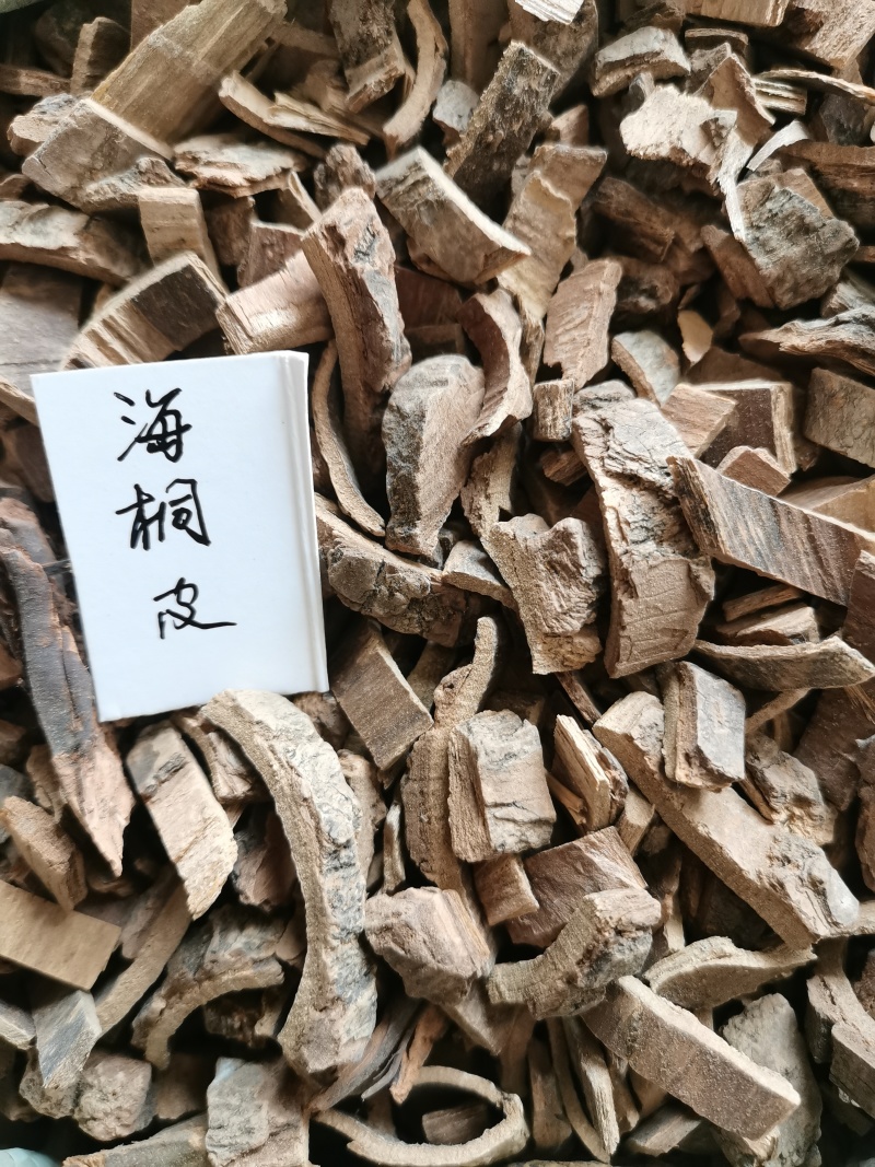 海桐皮