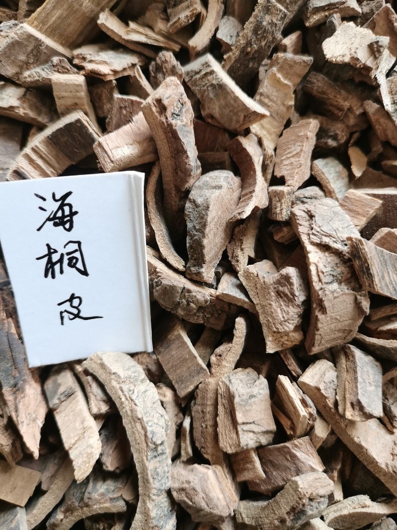 海桐皮