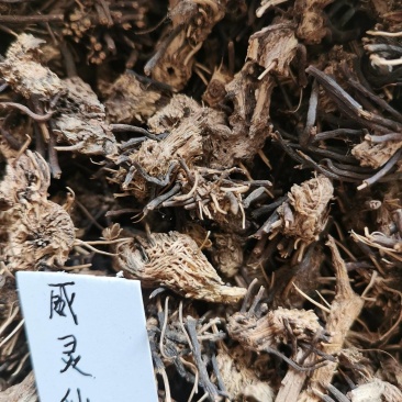 威灵仙