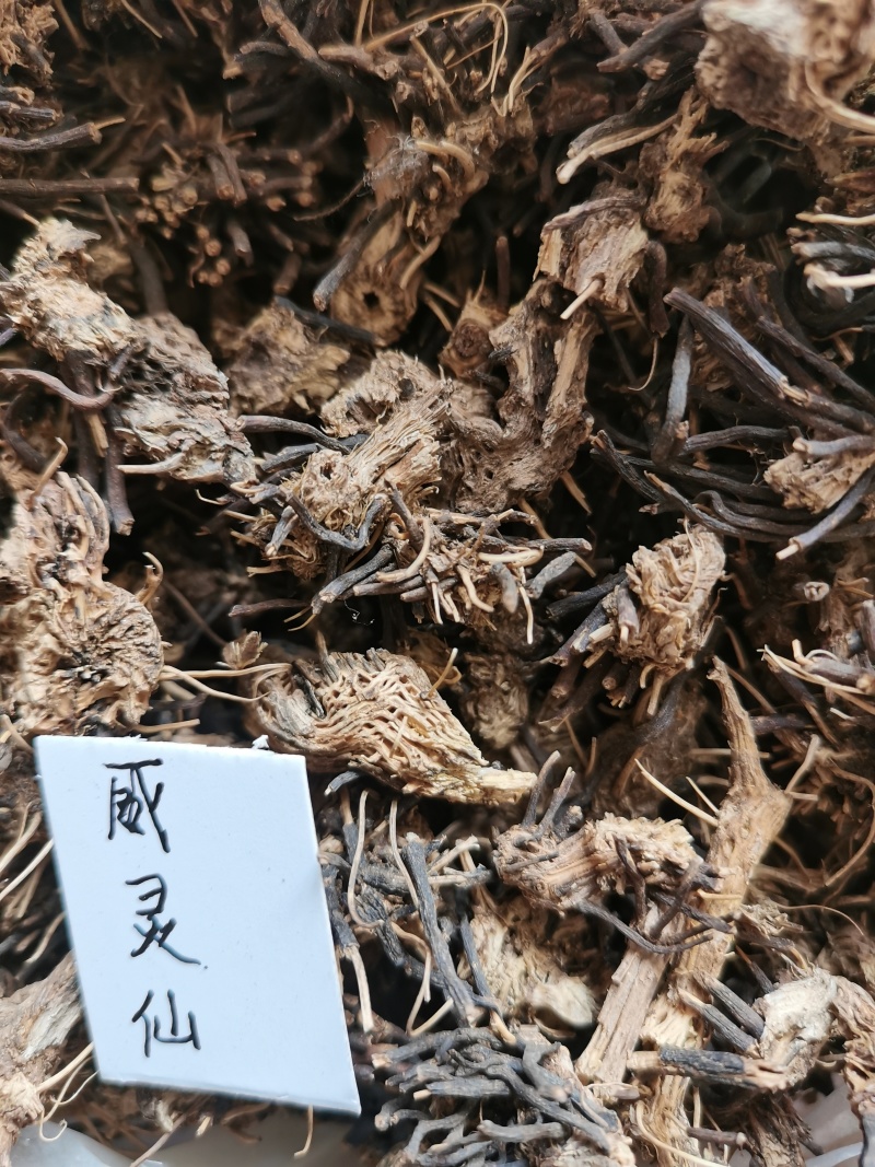 威灵仙