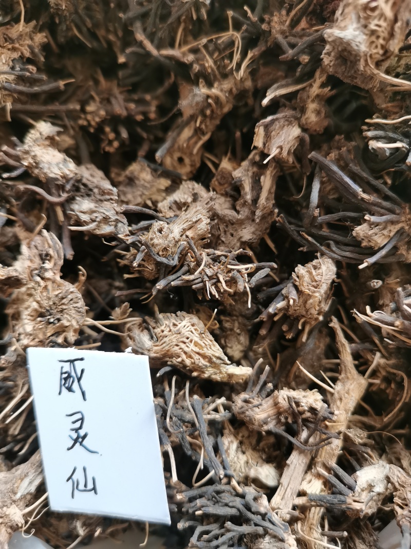 威灵仙