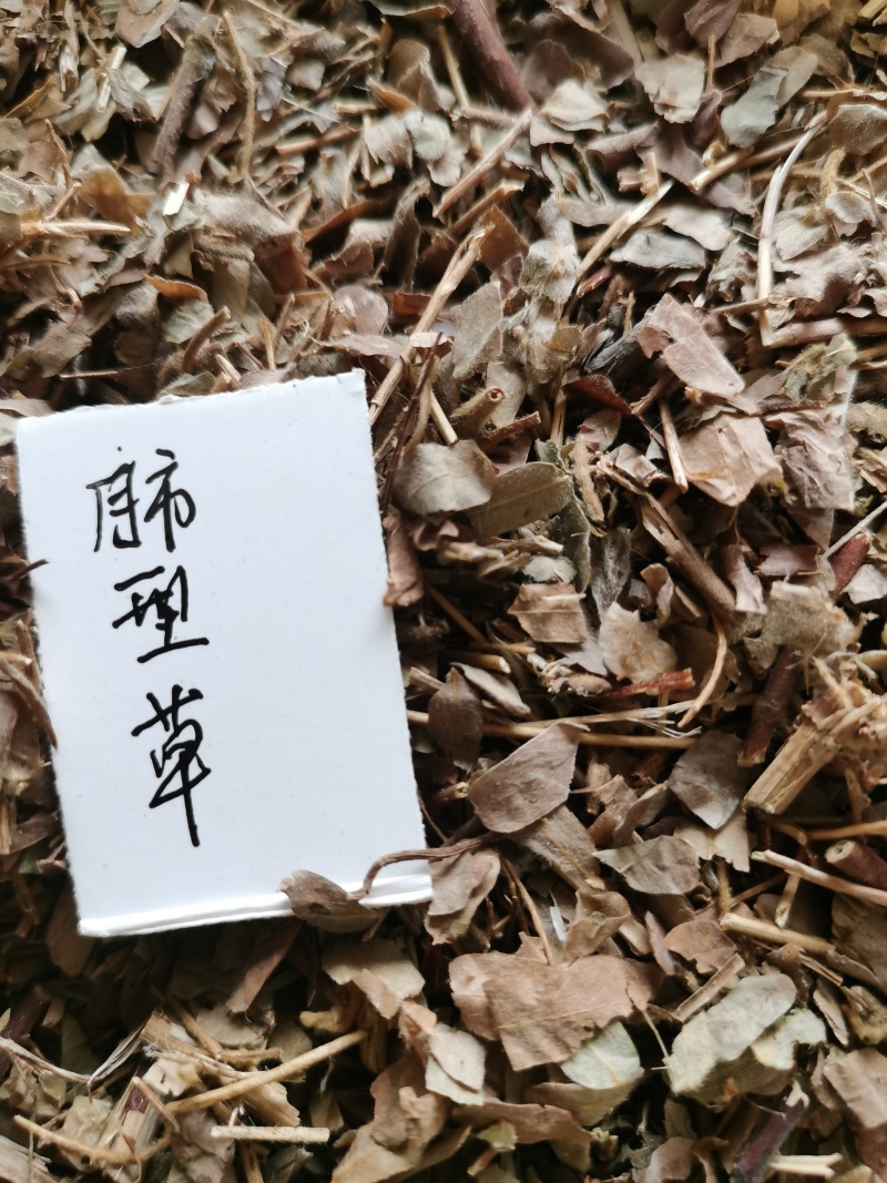 乌药