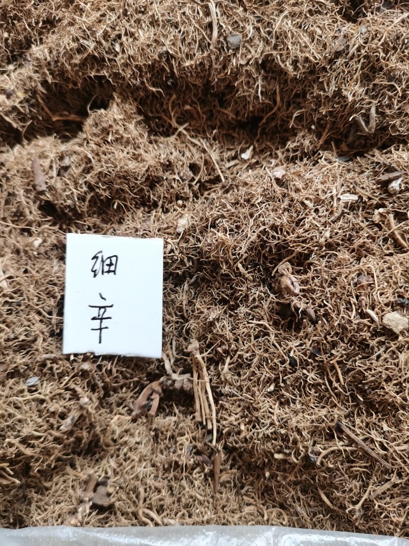 细辛