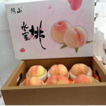 无锡阳山水蜜桃上市甘甜可口美味多汁2026年预售，