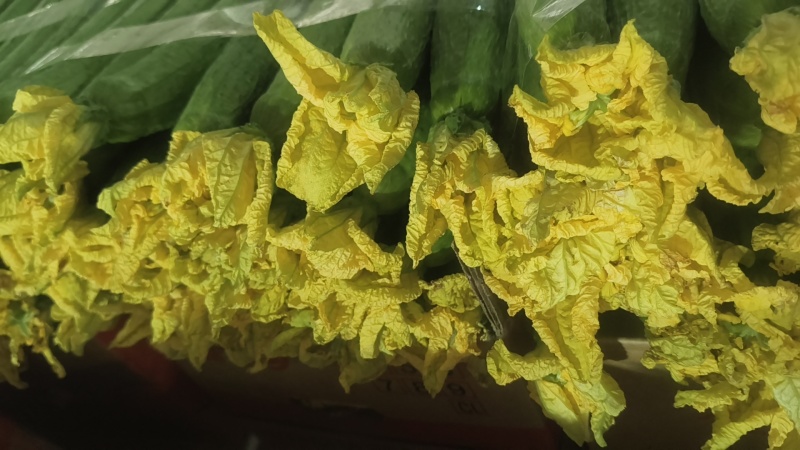 鲜花丝瓜，大量现货供应，花好瓜条直，现摘现发，保证新鲜。
