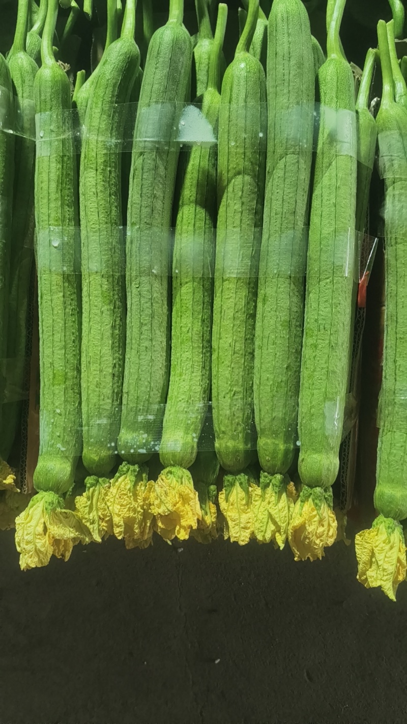 鲜花丝瓜，大量现货供应，花好瓜条直，现摘现发，保证新鲜。