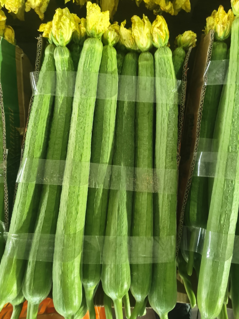 鲜花丝瓜，大量现货供应，花好瓜条直，现摘现发，保证新鲜。