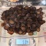 吉林双阳梅花鹿带血全腊片，泡水煲汤火锅均可量大从优