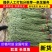 豇豆青条豆角长豆角一手货源基地直发量大从优