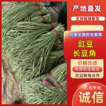 长豆角豇豆青条豆角品质保证量大从优价格美丽欢