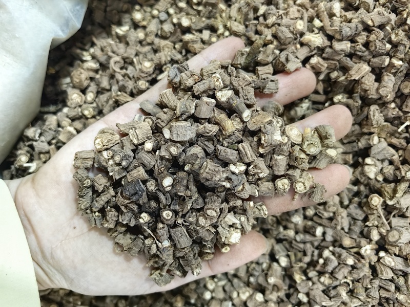 柴胡批发优质臧柴胡规格齐全产地货源可供大货量大从优