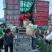 五百亩精品脆莲白，青秀无虫眼，对接全国客商。