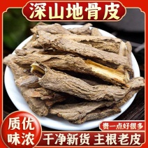 地骨皮批发地骨皮规格齐全产地货源充足量大价优