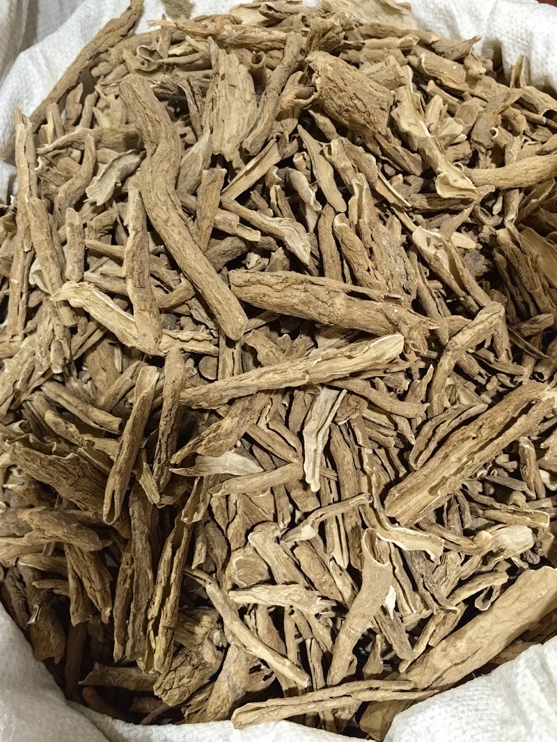 地骨皮批发地骨皮规格齐全产地货源充足量大价优