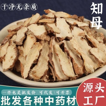 知母批发优质知母规格齐全产地一手货源量大价优