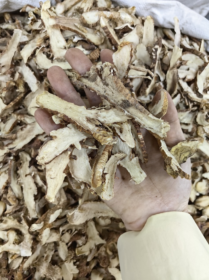 知母批发优质知母规格齐全产地一手货源量大价优
