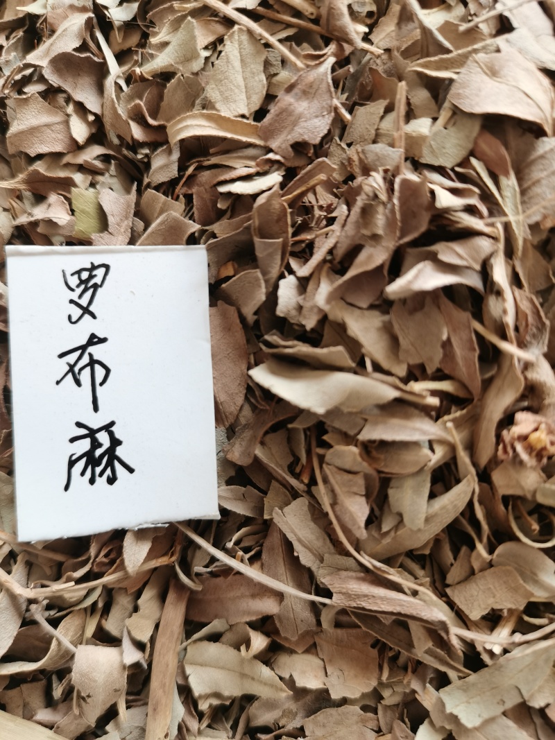 罗布麻