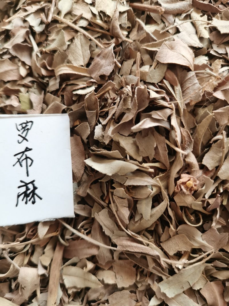 罗布麻