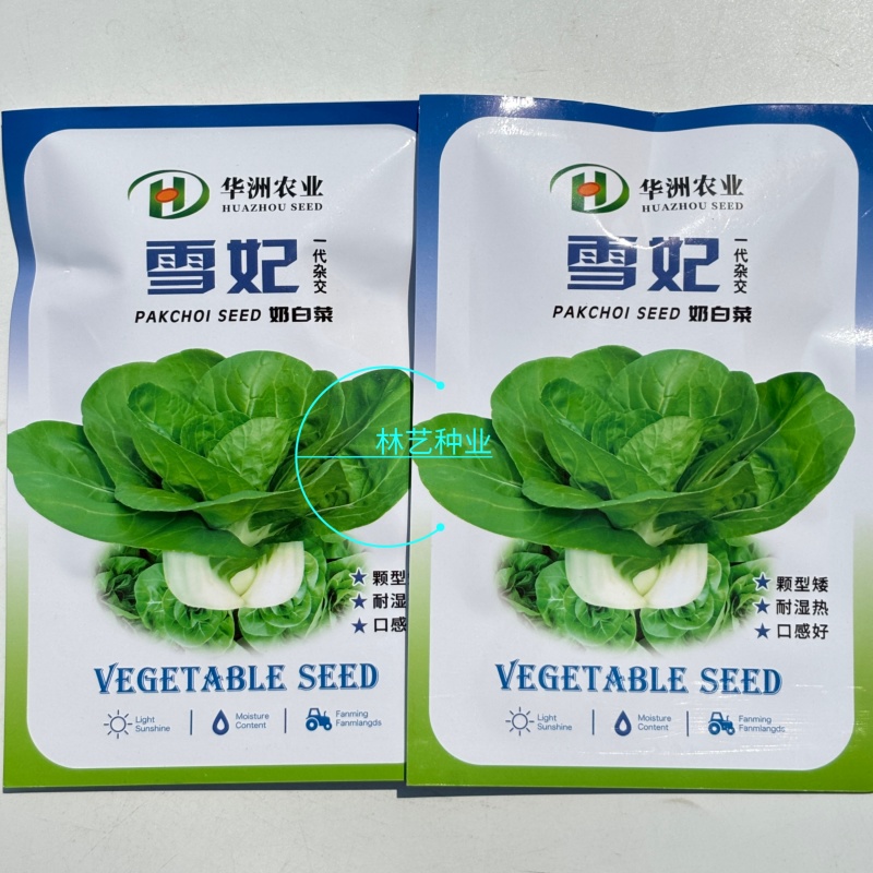 雪妃杂交矮脚白菜种子口感好耐热专用良种大田基地
